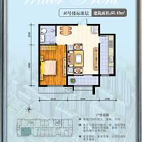 1室1厅1卫　63平米